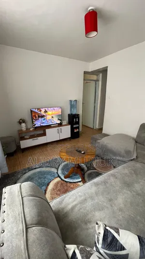 Spacious One Bedroom Airbnb TRM Drive Roysambu Thika Road