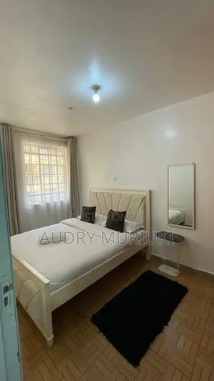 Spacious One Bedroom Airbnb TRM Drive Roysambu Thika Road
