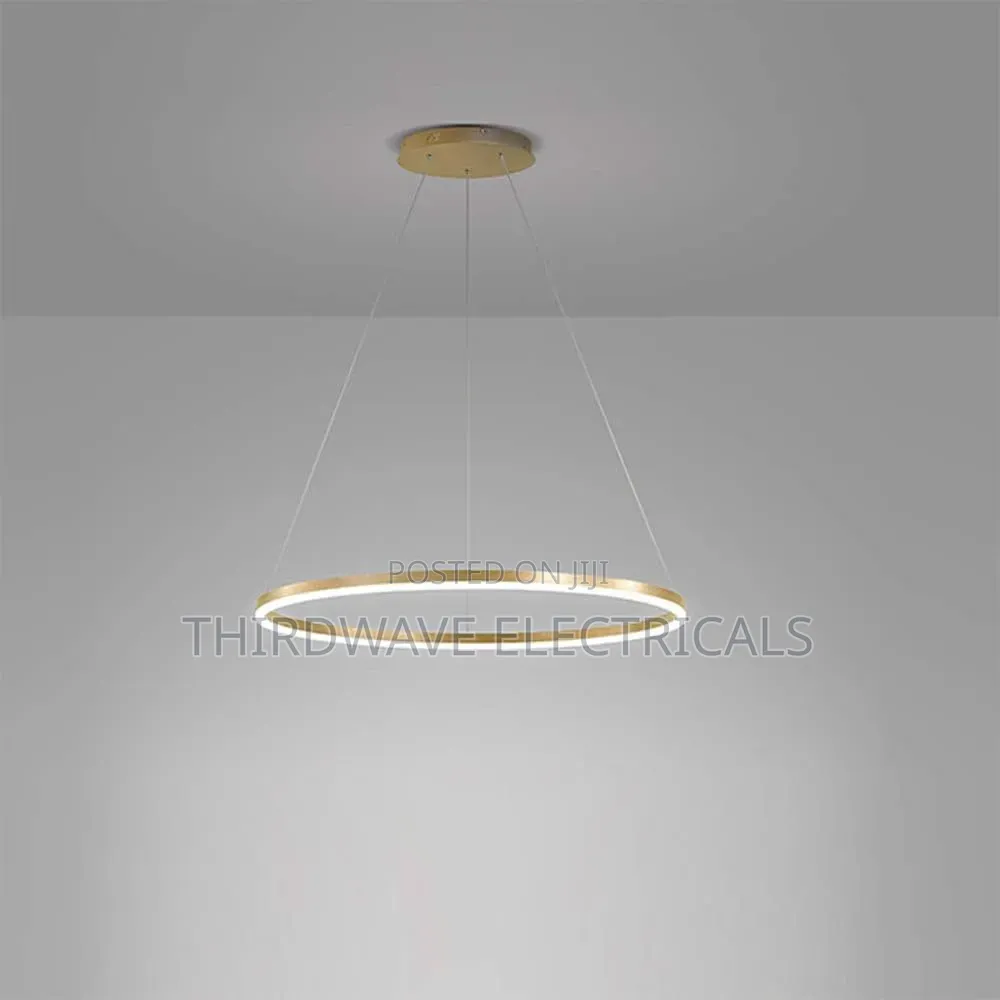 Golden Nordic Modern Ring Chandelier Pendant Light Hd4