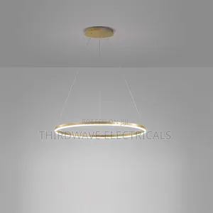 Golden Nordic Modern Ring Chandelier Pendant Light Hd4