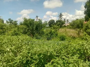 Prime 2.5 Acres for Sale – Mombasa–Malindi Highway