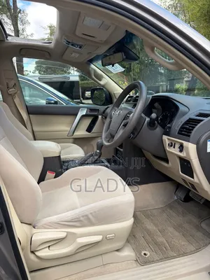 Toyota Land Cruiser Prado 2020 Gray