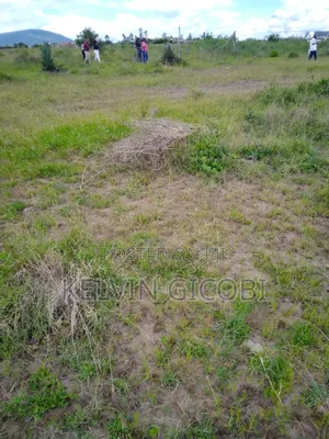 50*100 Plots for Sale in Juja Farm