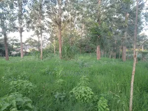 Prime Plot