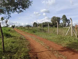 100x100 Plot Gikambura Kiambu County.