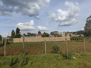 100x100 Plot Gikambura Kiambu County.