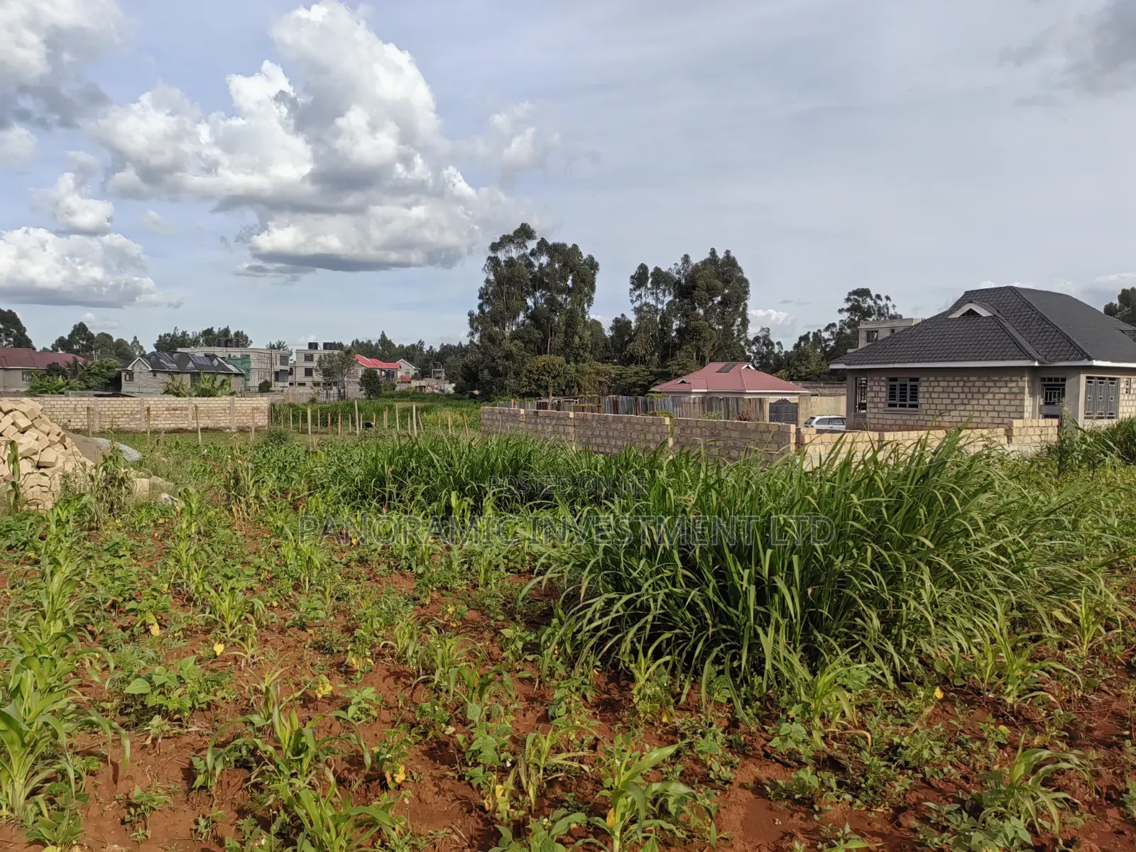 100x100 Plot Gikambura Kiambu County.