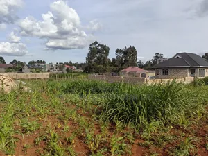 100x100 Plot Gikambura Kiambu County.