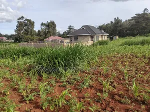 100x100 Plot Gikambura Kiambu County.