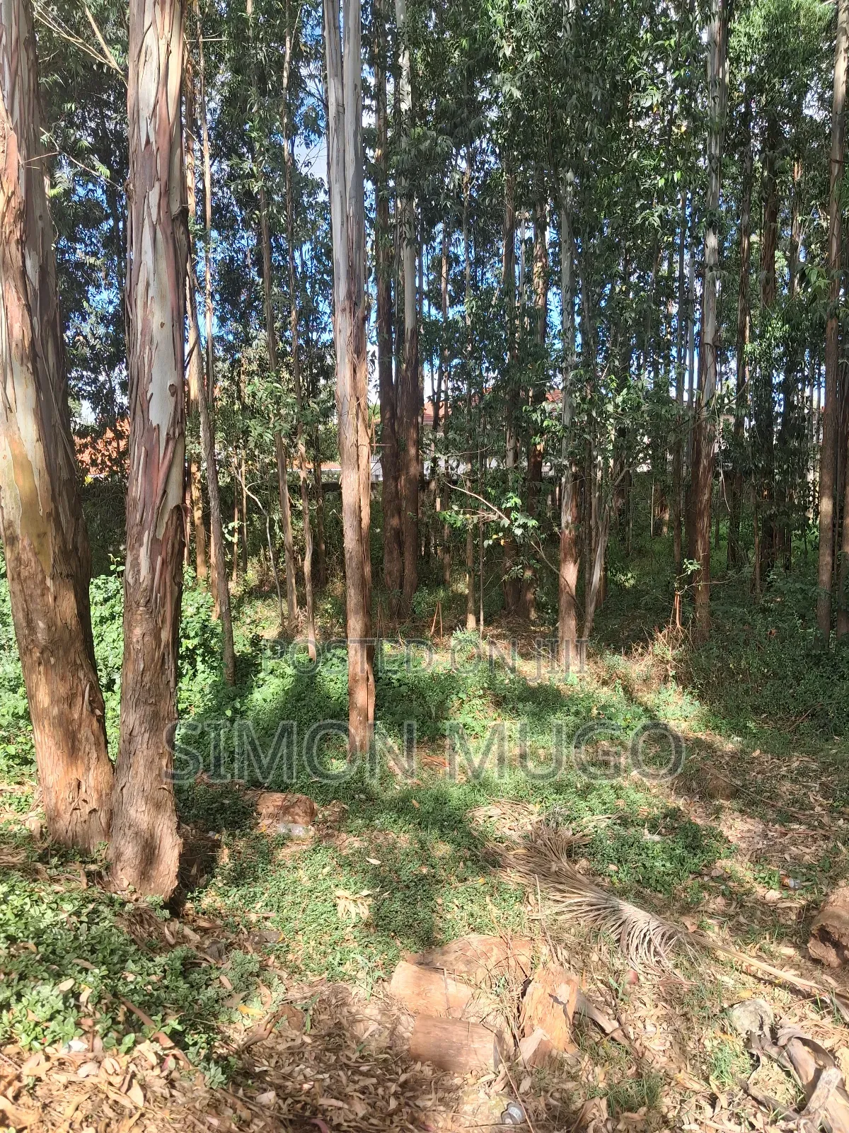 Ridgeways Residential 1/2 Ac in a Controlled Development Gated Court