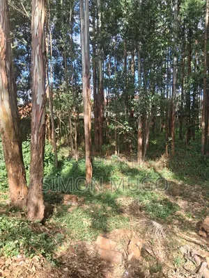 Ridgeways Residential 1/2 Ac in a Controlled Development Gated Court