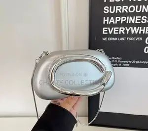 Silver Ladies Clutch Bags With Sling