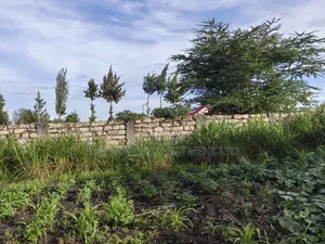 Quarter Acre for Sale in Ruai Nairobi County.