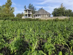 Quarter Acre for Sale in Ruai Nairobi County.