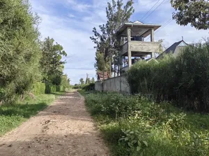 Quarter Acre for Sale in Ruai Nairobi County.