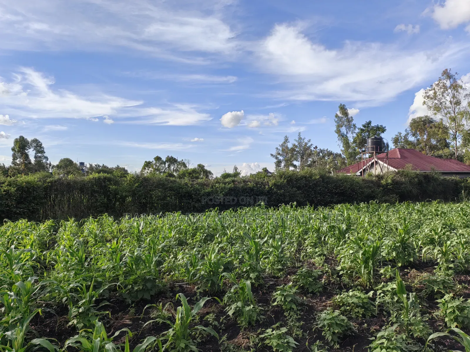 Quarter Acre for Sale in Ruai Nairobi County.