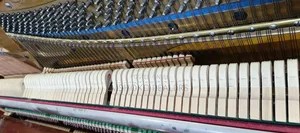 Acoustic Upright Piano