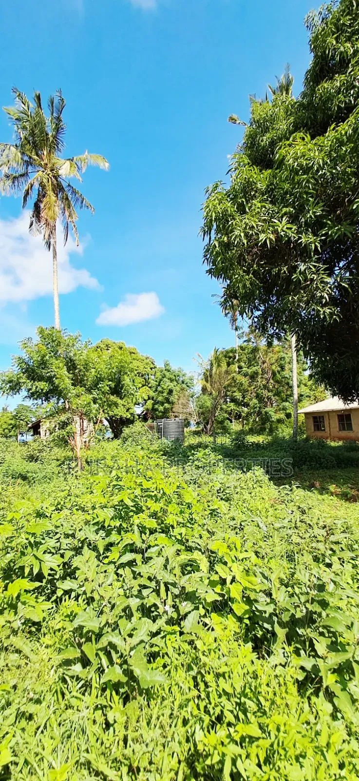 For Sale 11 Acres Land Vipingo