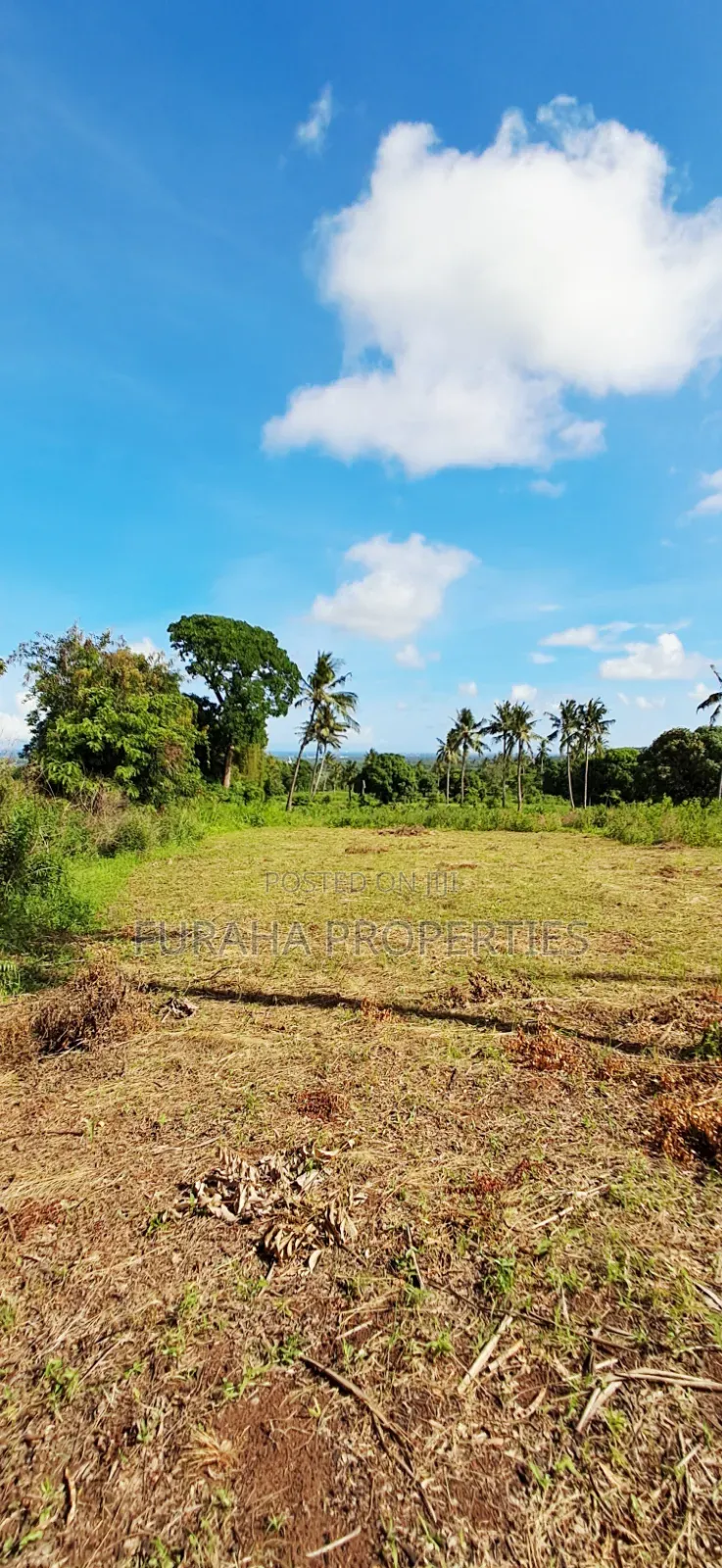 For Sale 11 Acres Land Vipingo