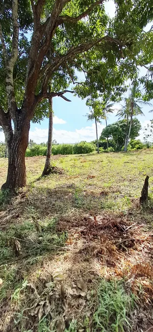 For Sale 11 Acres Land Vipingo