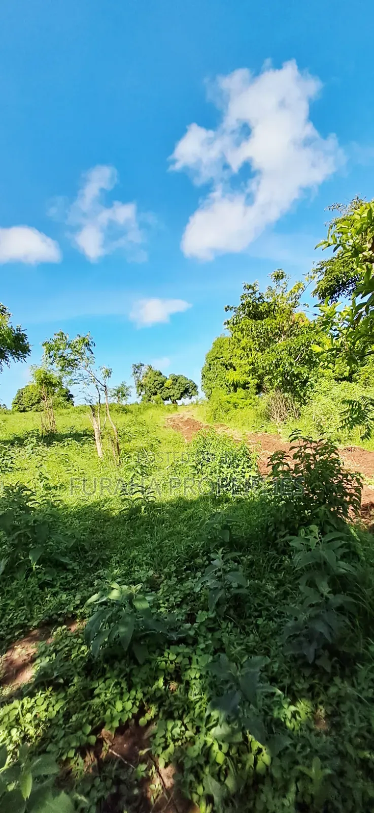 For Sale 11 Acres Land Vipingo
