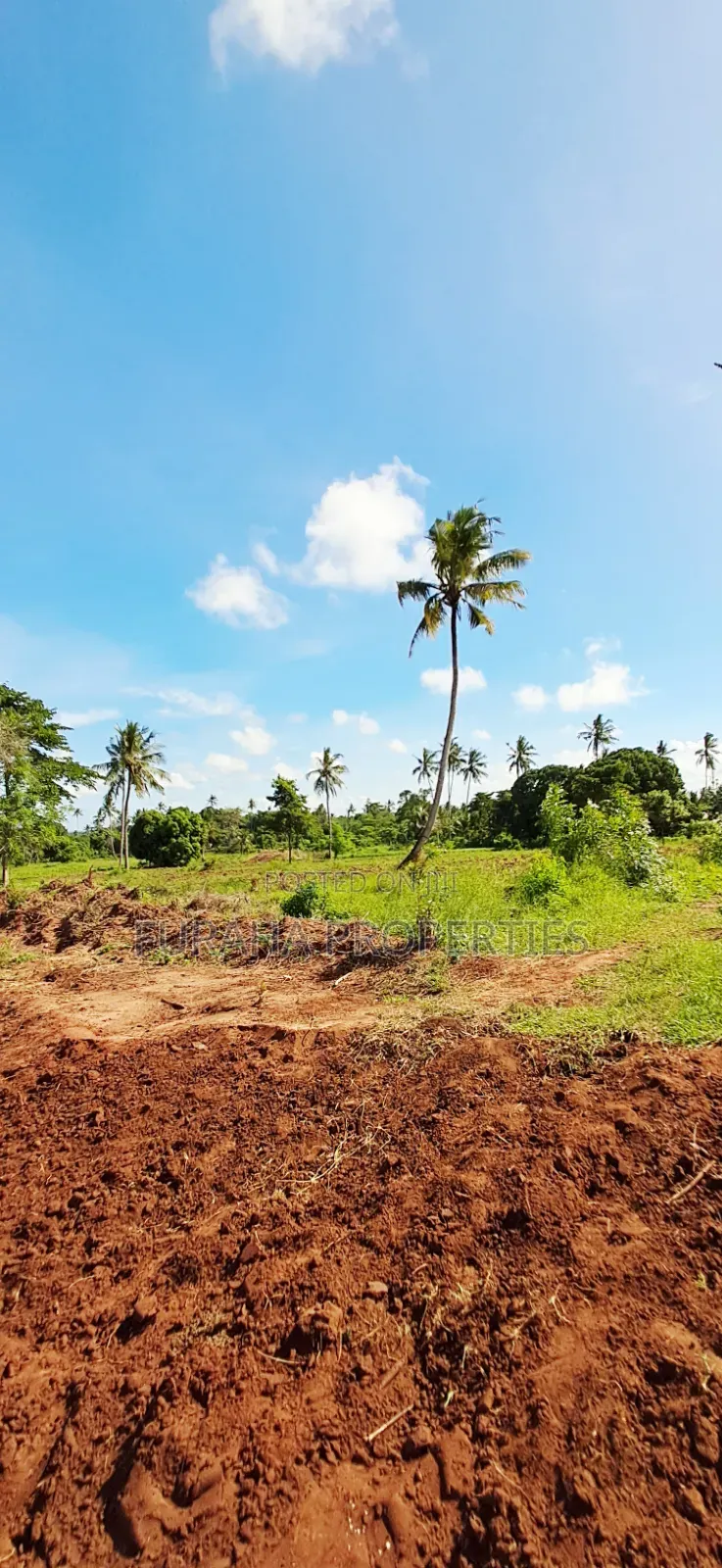 For Sale 11 Acres Land Vipingo