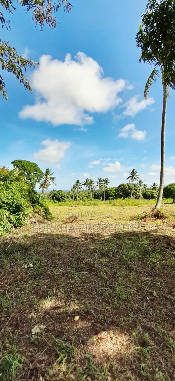 For Sale 11 Acres Land Vipingo