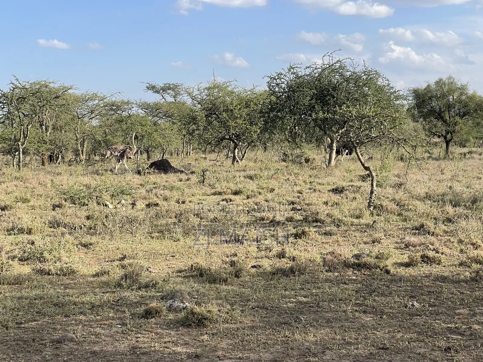 20acres for Sale in Kajiado 400 Per Acre Selling as a Block