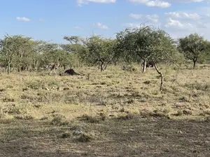 20acres for Sale in Kajiado 400 Per Acre Selling as a Block