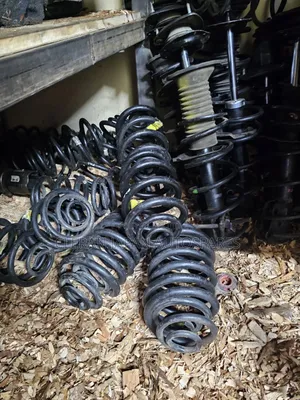 Probox Rear Coil Springs