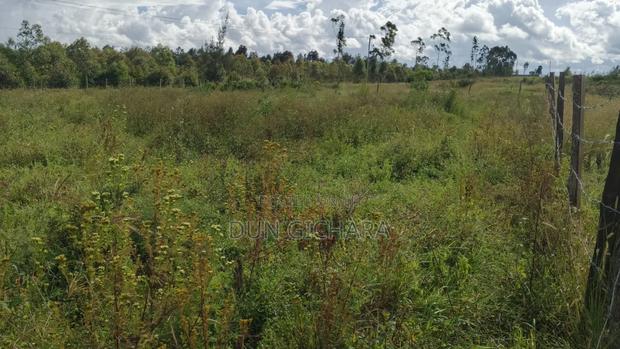 0.9ha Quarter Acre Plot for Sale at Nyeri, Mweiga Issaco Area  - thumbnail 4