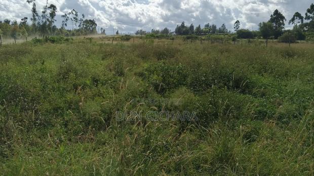 0.9ha Quarter Acre Plot for Sale at Nyeri, Mweiga Issaco Area  - thumbnail 6