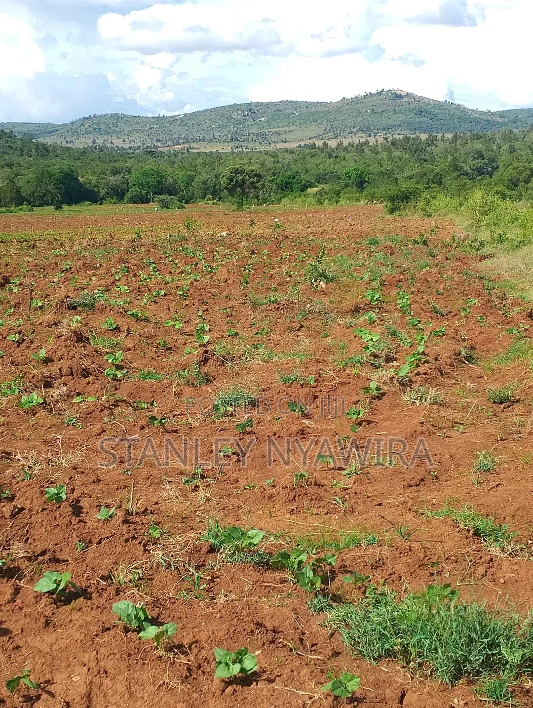 4 Acres Nanyuki Lolodaiga