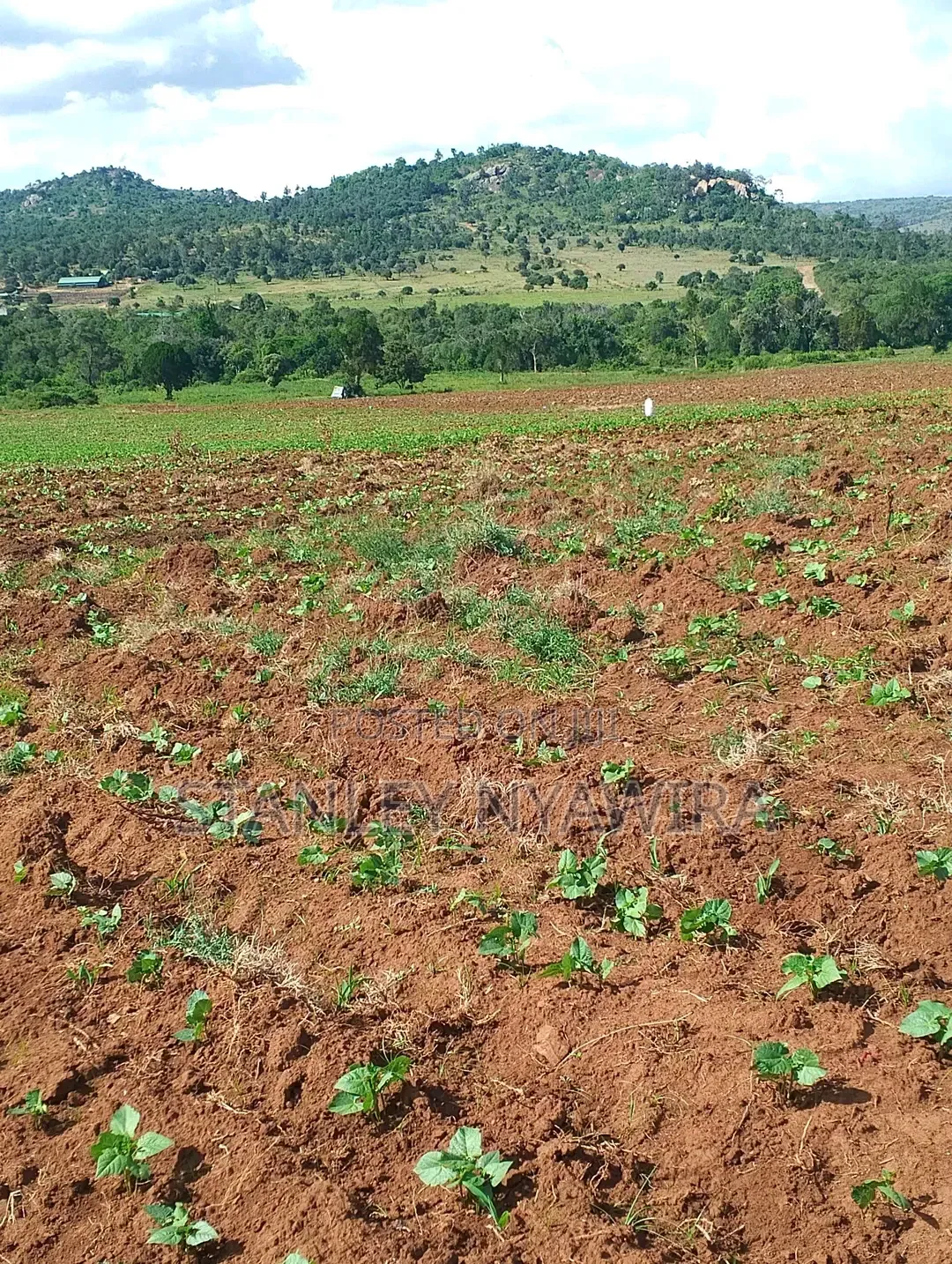 4 Acres Nanyuki Lolodaiga