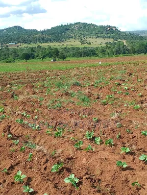 4 Acres Nanyuki Lolodaiga