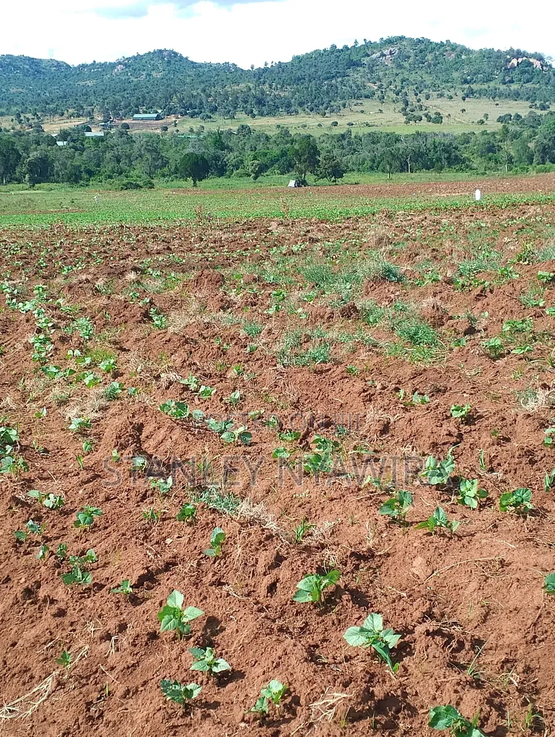 4 Acres Nanyuki Lolodaiga