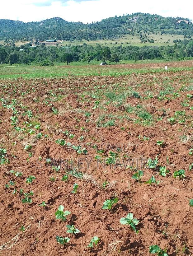 4 Acres Nanyuki Lolodaiga - thumbnail 5