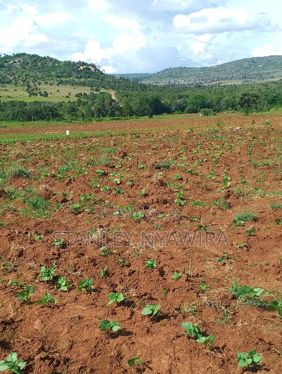 4 Acres Nanyuki Lolodaiga
