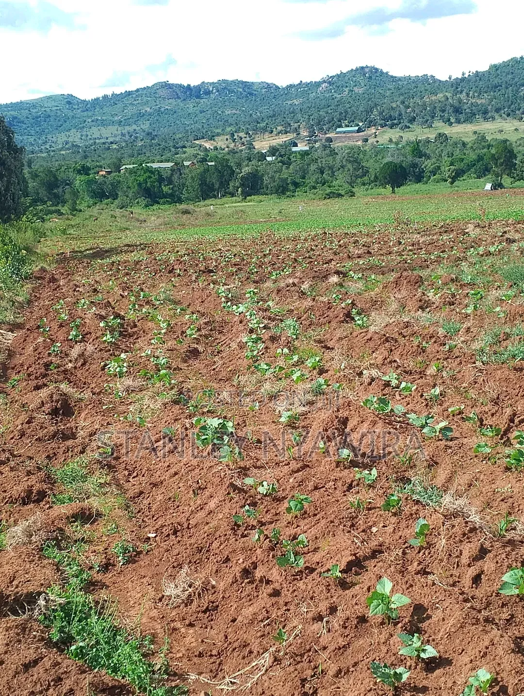 4 Acres Nanyuki Lolodaiga