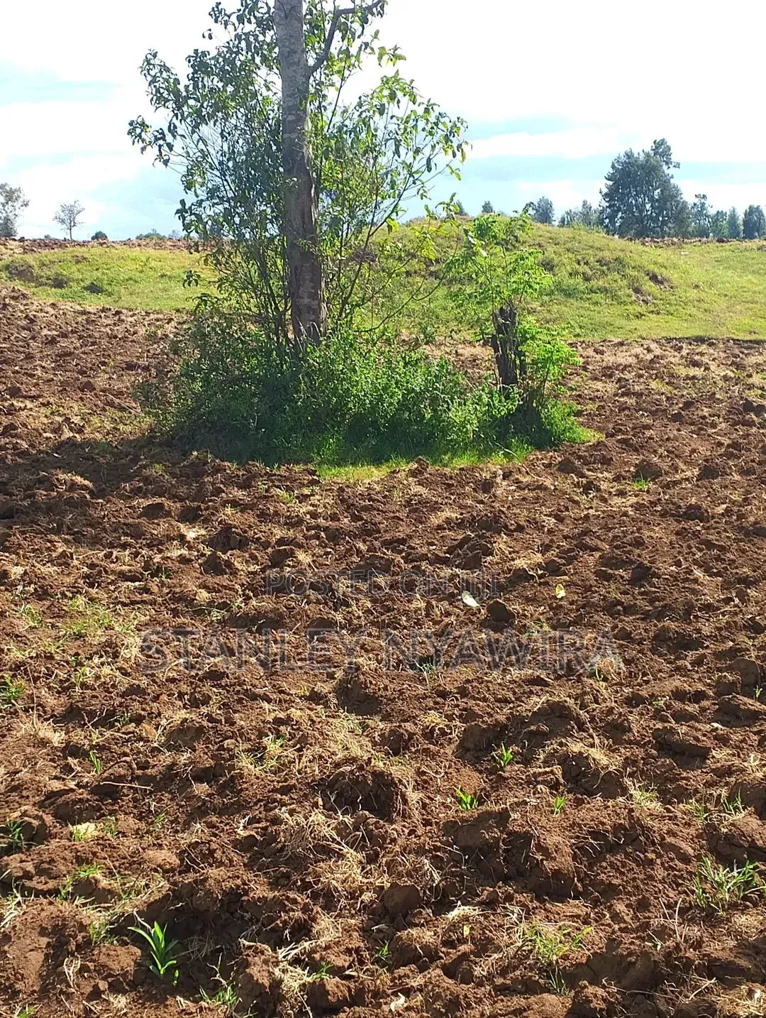 4 Acres Nanyuki Lolodaiga