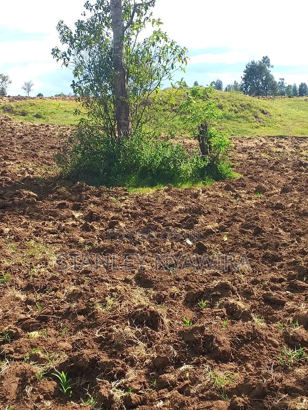 4 Acres Nanyuki Lolodaiga - thumbnail 8