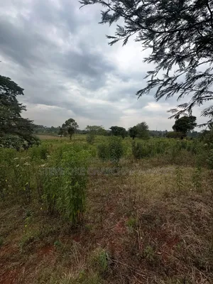 Clean Title Karen Land for Sale Kerarapon 3rd Drive: Half 1⁄2-Acre