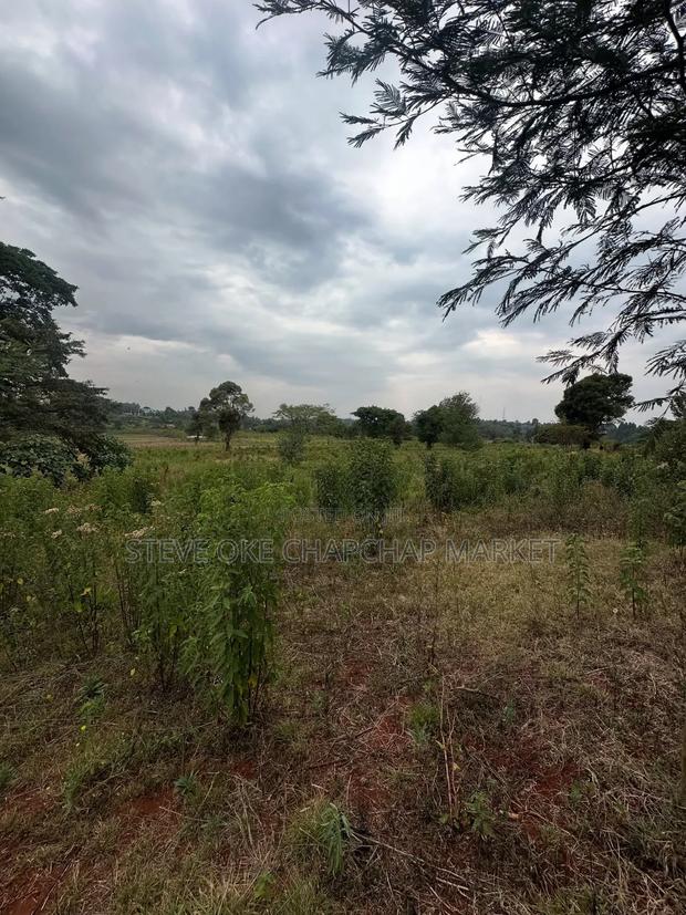 Clean Title Karen Land for Sale Kerarapon 3rd Drive: Half 1⁄2-Acre