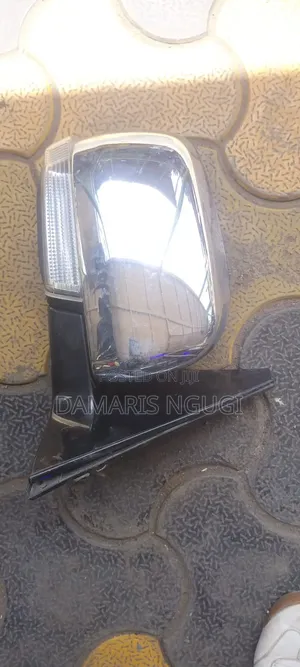 Mitsubishi Shogun Sidemirror