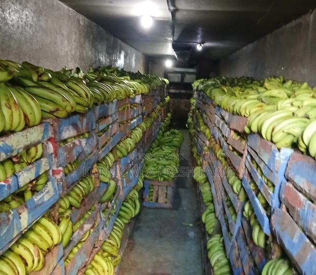 Kongowea Farm Fresh Bananas