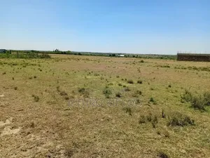 Commercial Land