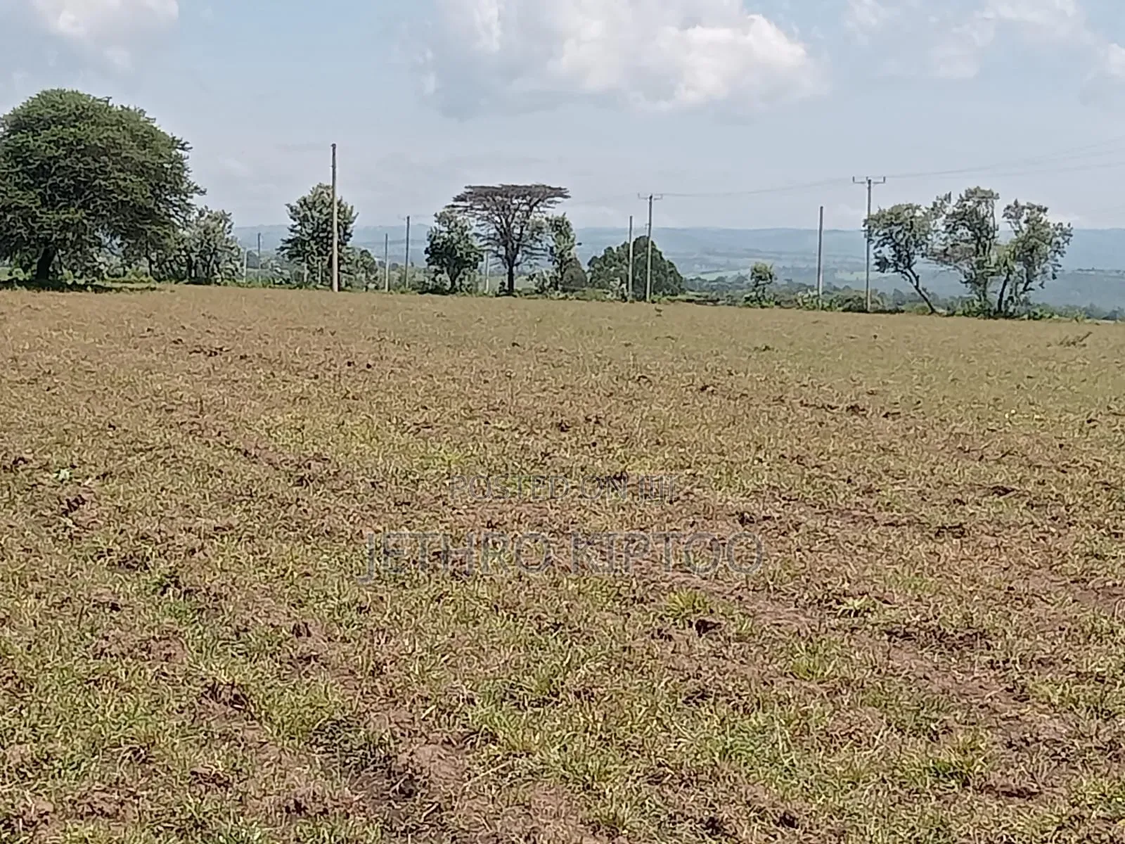 Commercial Land