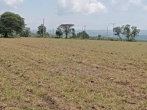 Commercial Land