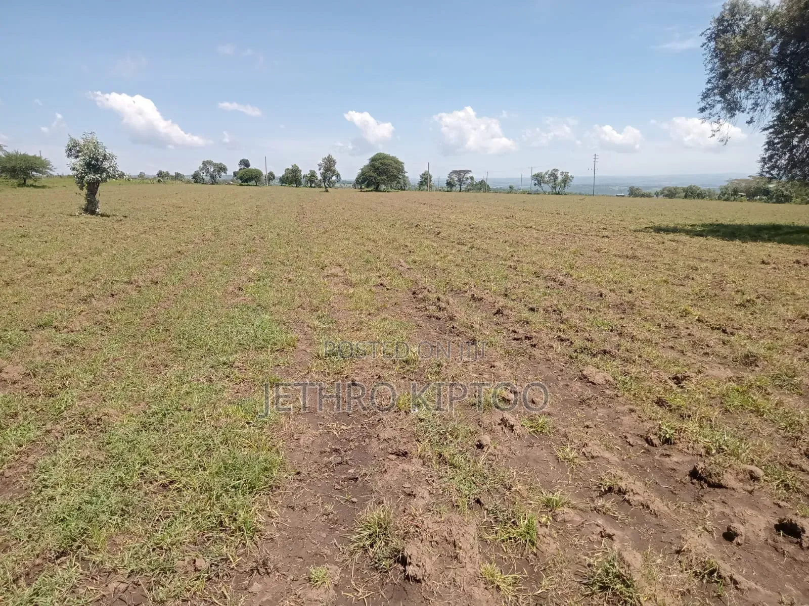 Commercial Land