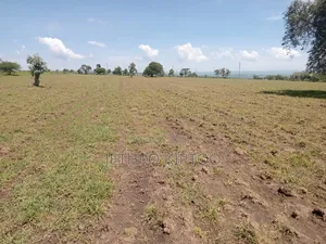 Commercial Land